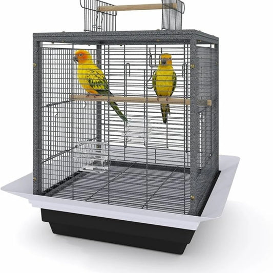 Metal Parrot Cage