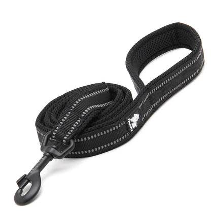 Dog Leash with Padded Handle