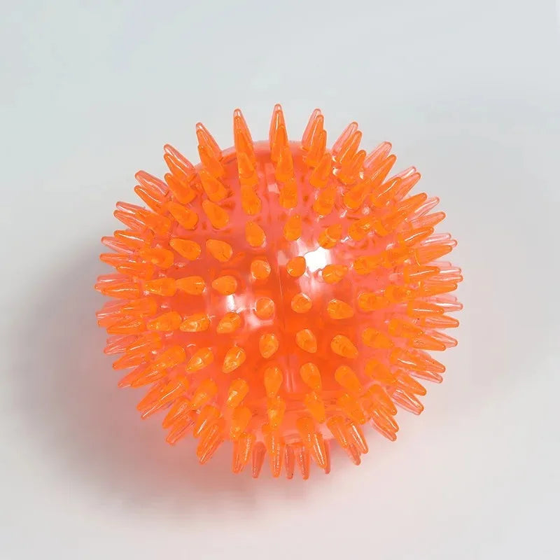 Pet Dog Squeaky Ball Toy