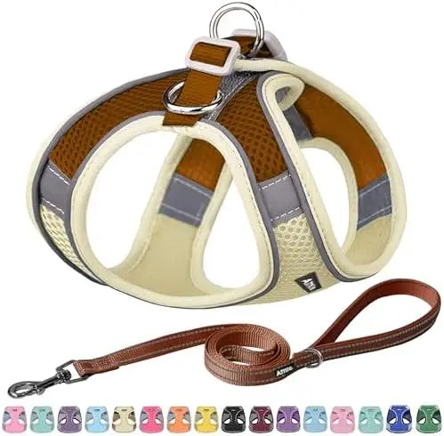Adjustable Harness & Leash Set