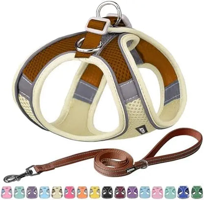 Adjustable Harness & Leash Set