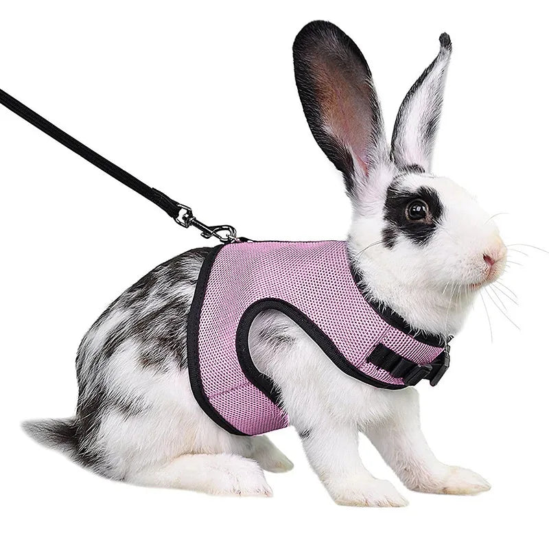 Small Mesh Harness/Leash