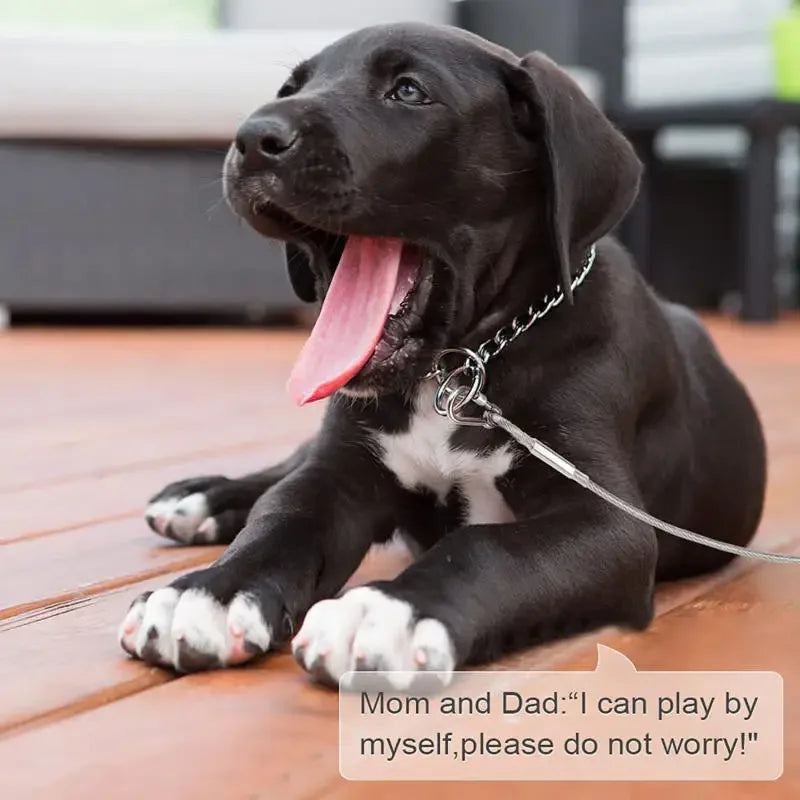 Double-headed Dog Tie Out Cable Leash