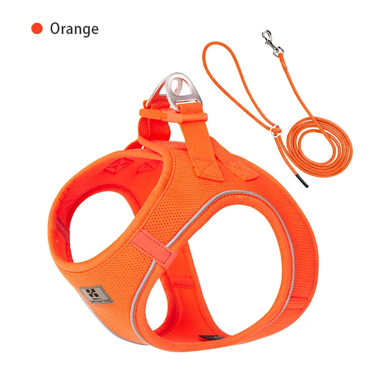 Dog Harness Leash Set