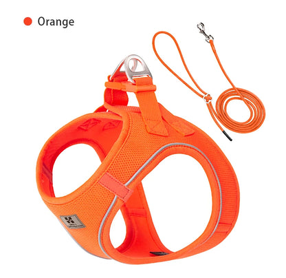 Dog Harness Leash Set