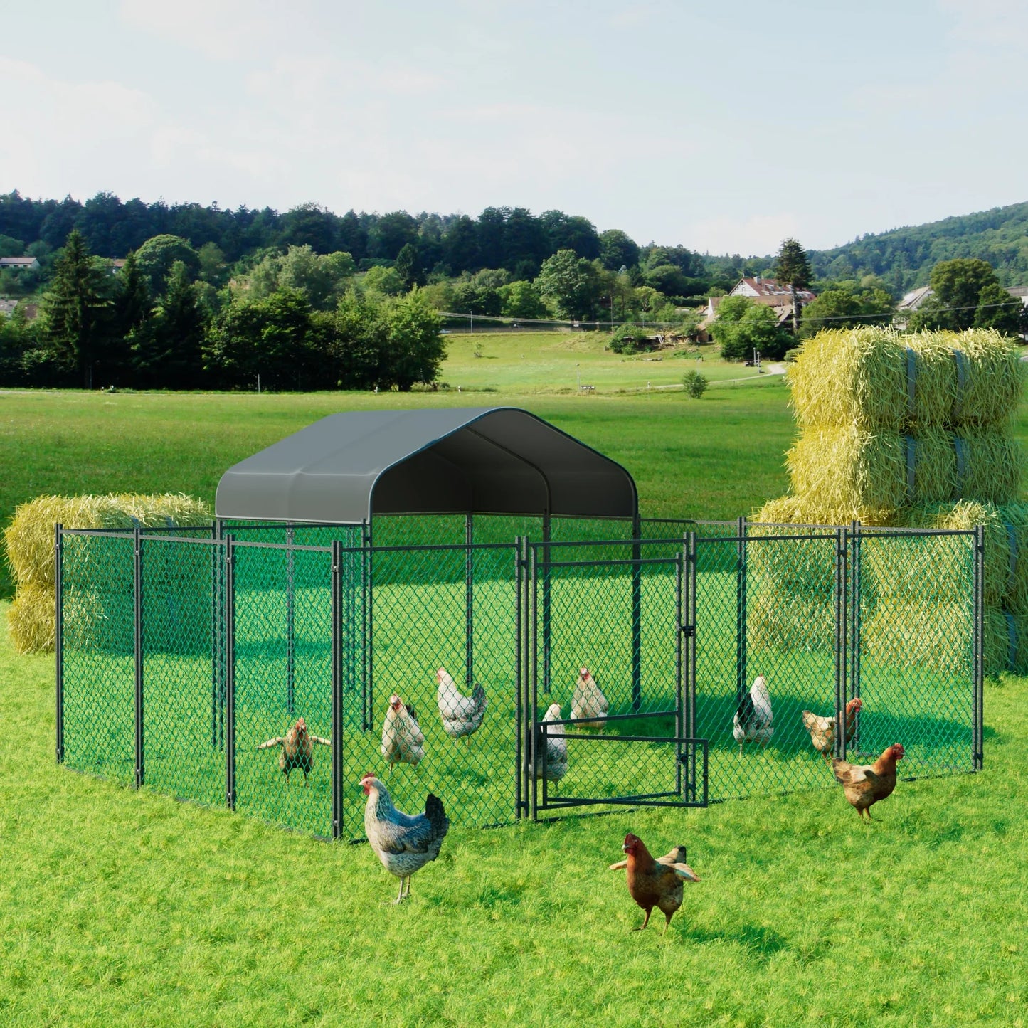 Chicken Coop