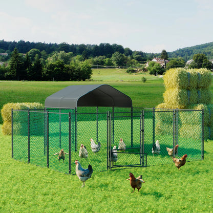 Chicken Coop