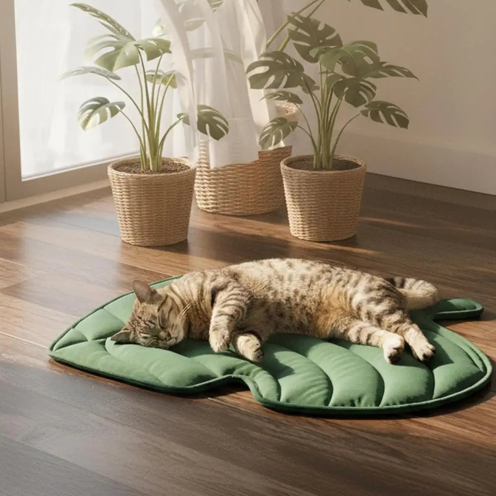 Thermal Dog Mat Cat Pad, Washable