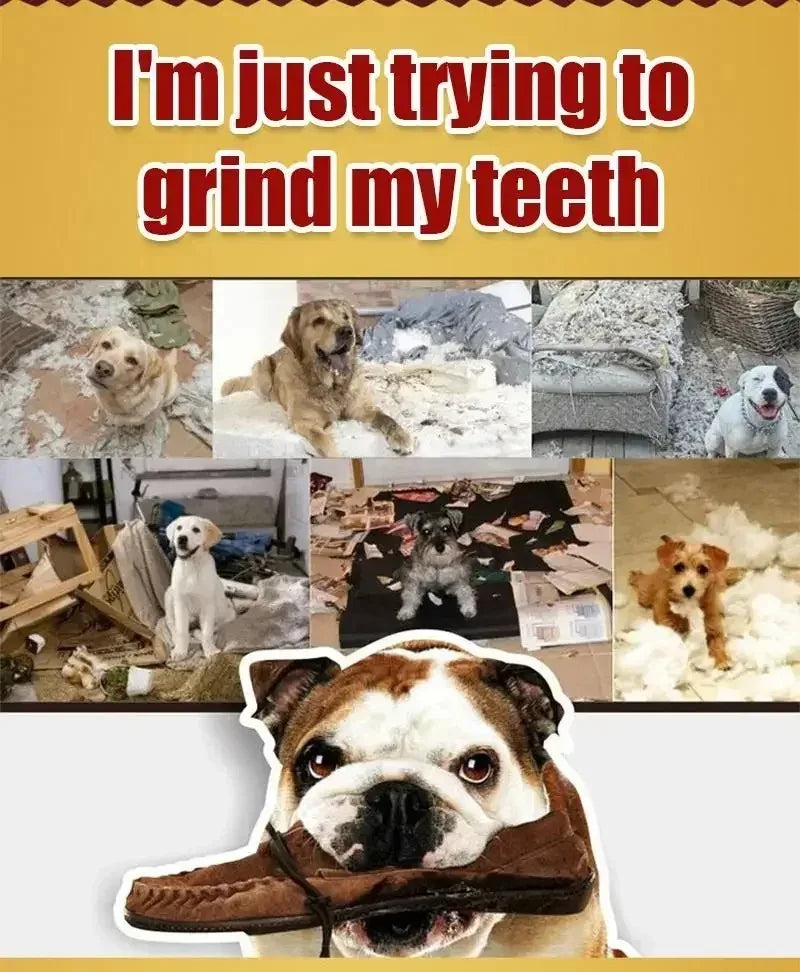 Dog Bruxism Stick
