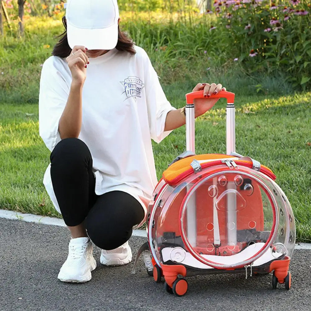 Travel Backpack for Cats