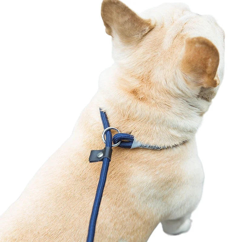 Adjustable Collar Harness Dog Leash