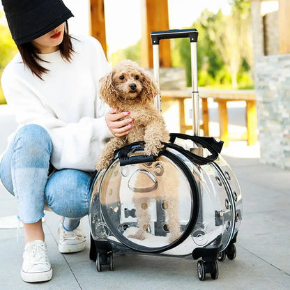 Travel Backpack for Cats
