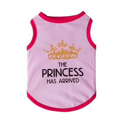 Summer Cotton Sphynx Cat T Shirt Vest