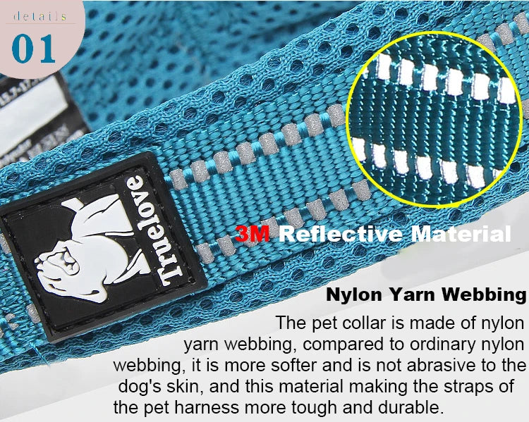 Dog Walking Collar
