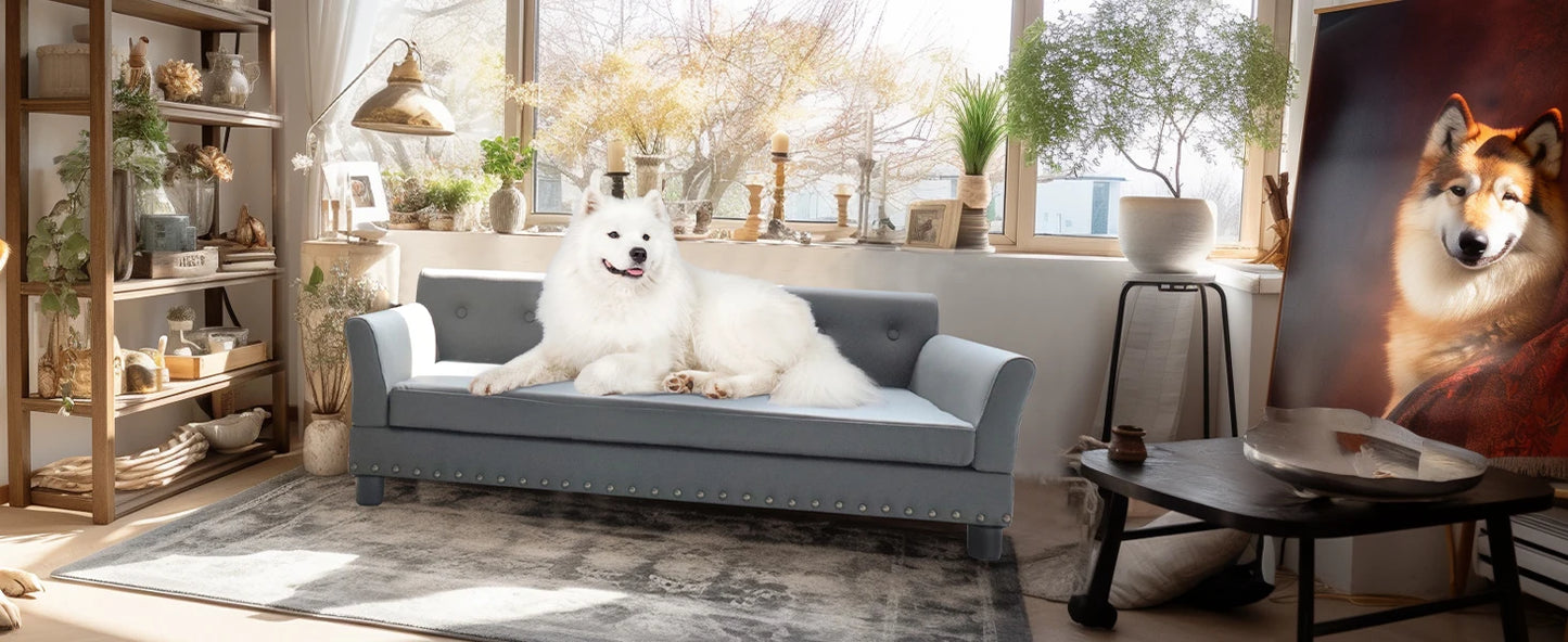 Durable Elevated Dog Sofa Bed