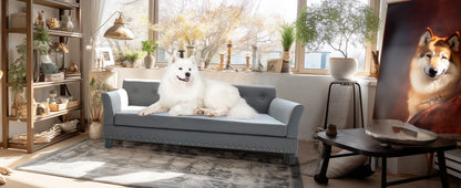 Durable Elevated Dog Sofa Bed
