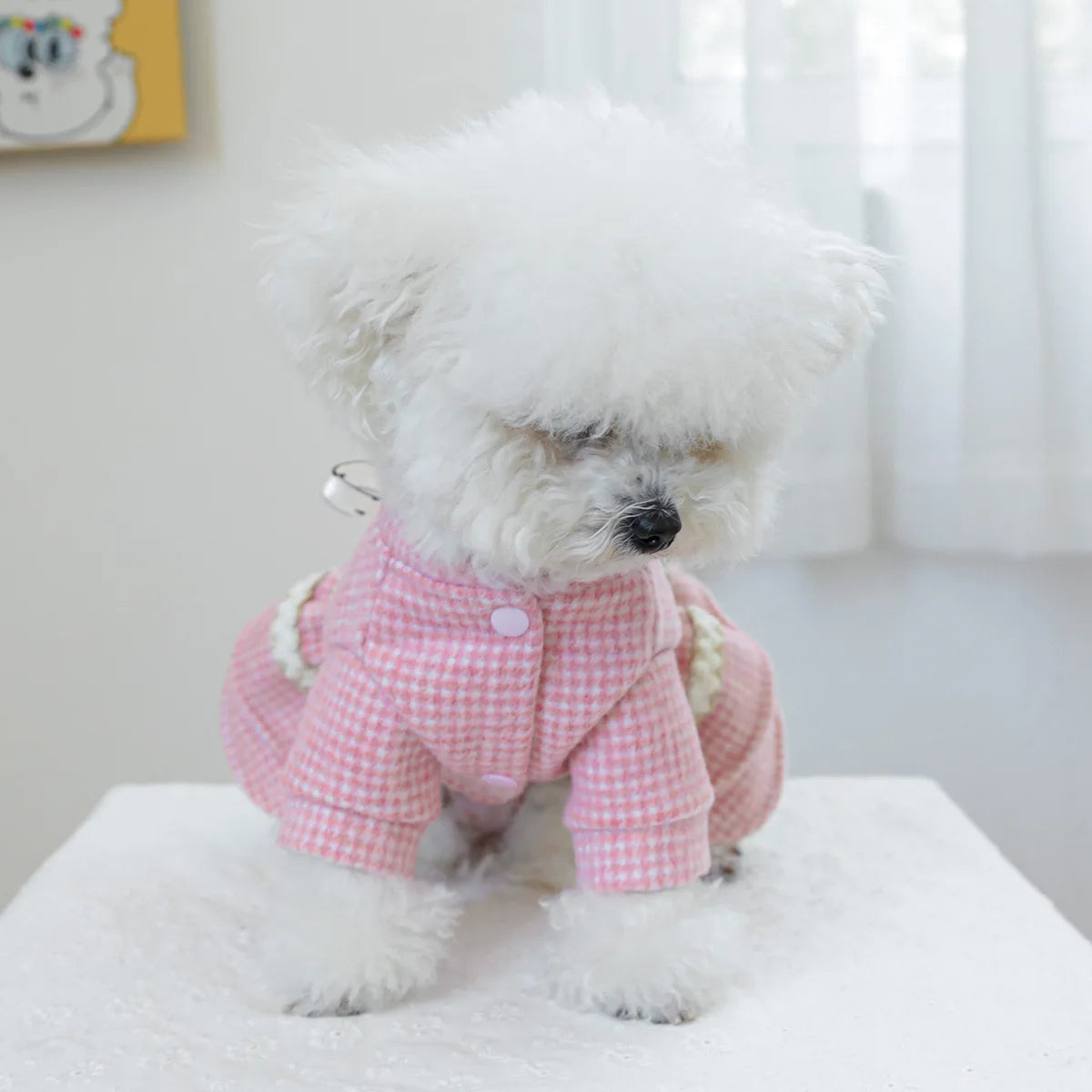 Wool Bowknot Dog Cat Dress