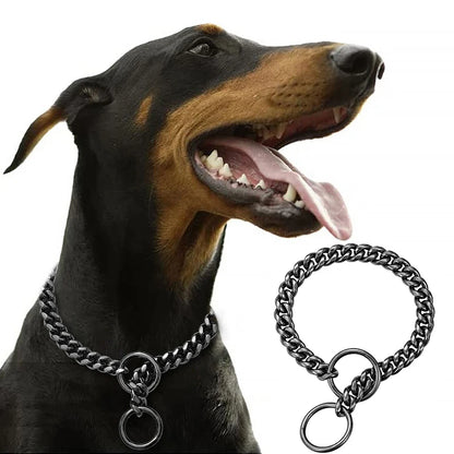 Stainless Chain Collar