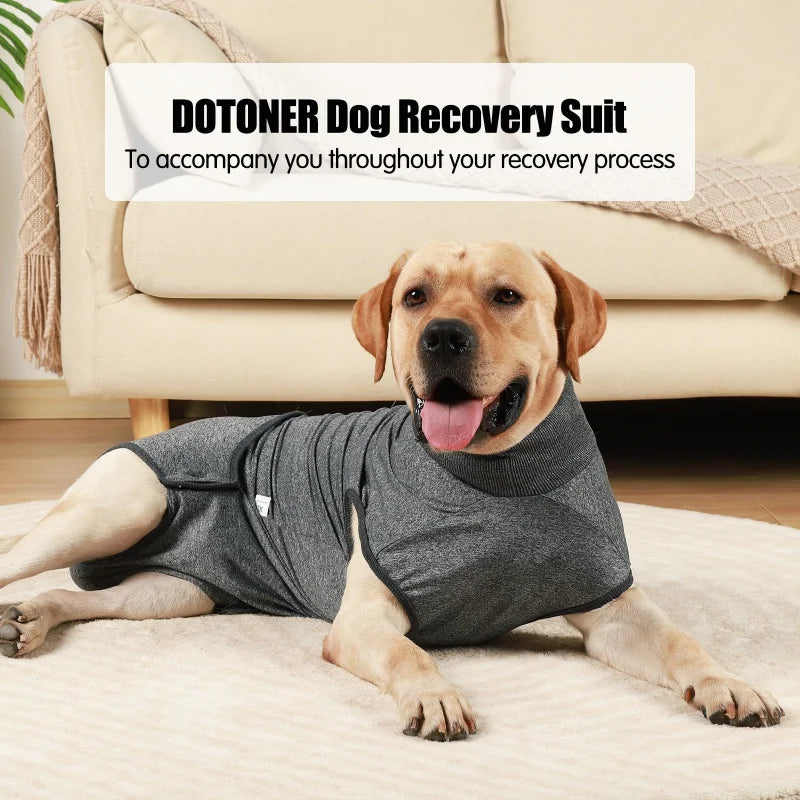 Recovery Suit for Dogs Cats After Surgery