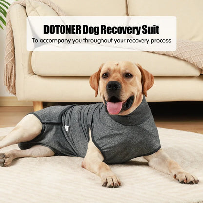 Recovery Suit for Dogs Cats After Surgery