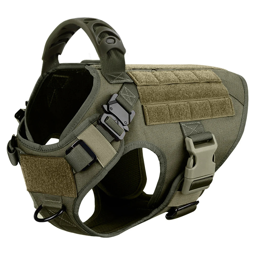 Large Dog Harness And Leash