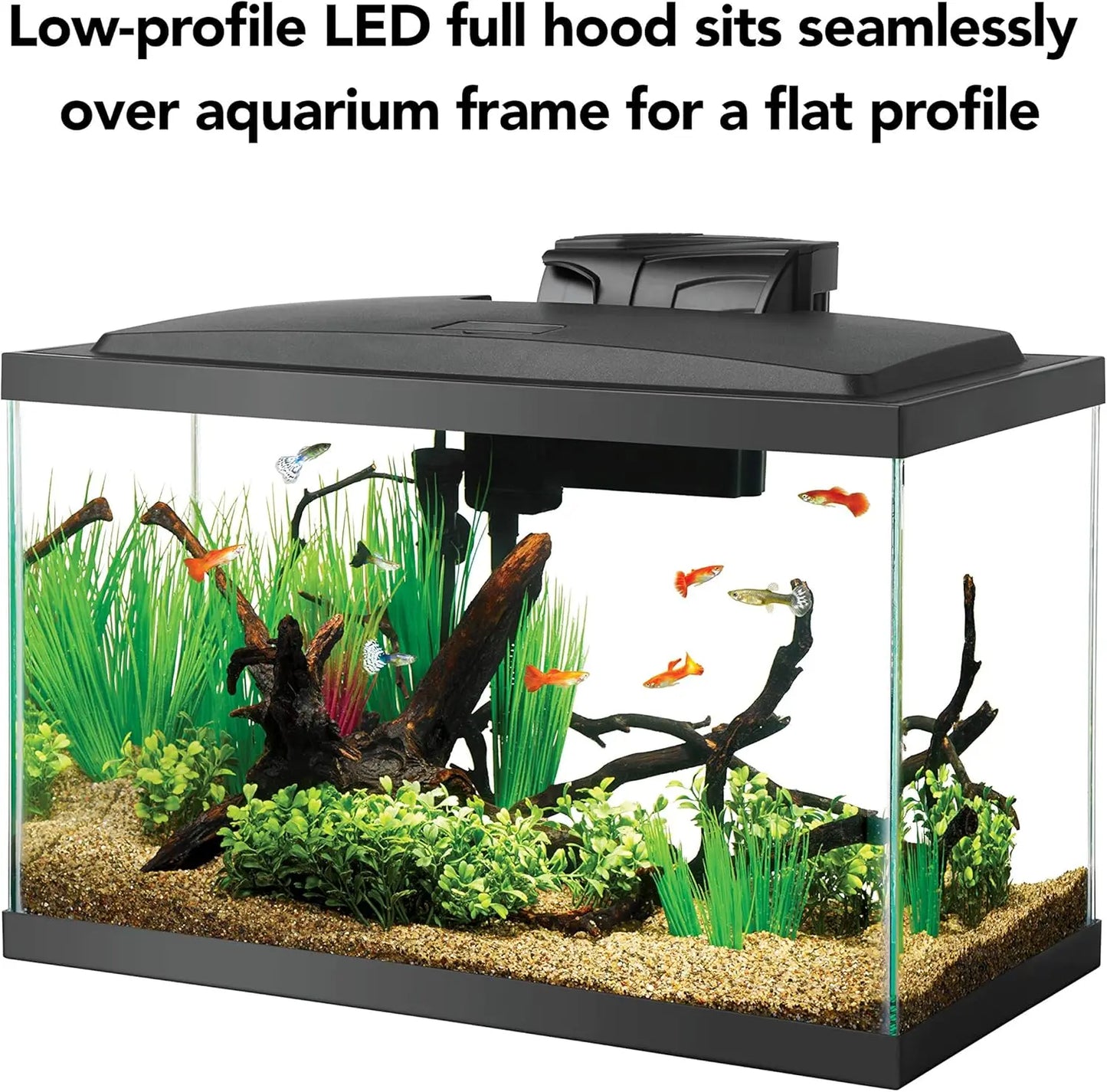 Complete 10 Gallon Aquarium Starter Kit with LED Lighting - Everything Included