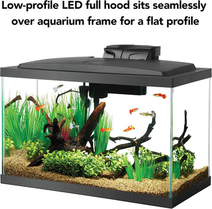 Complete 10 Gallon Aquarium Starter Kit with LED Lighting - Everything Included