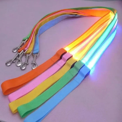 Rope Harness Collar Electronic Glowing