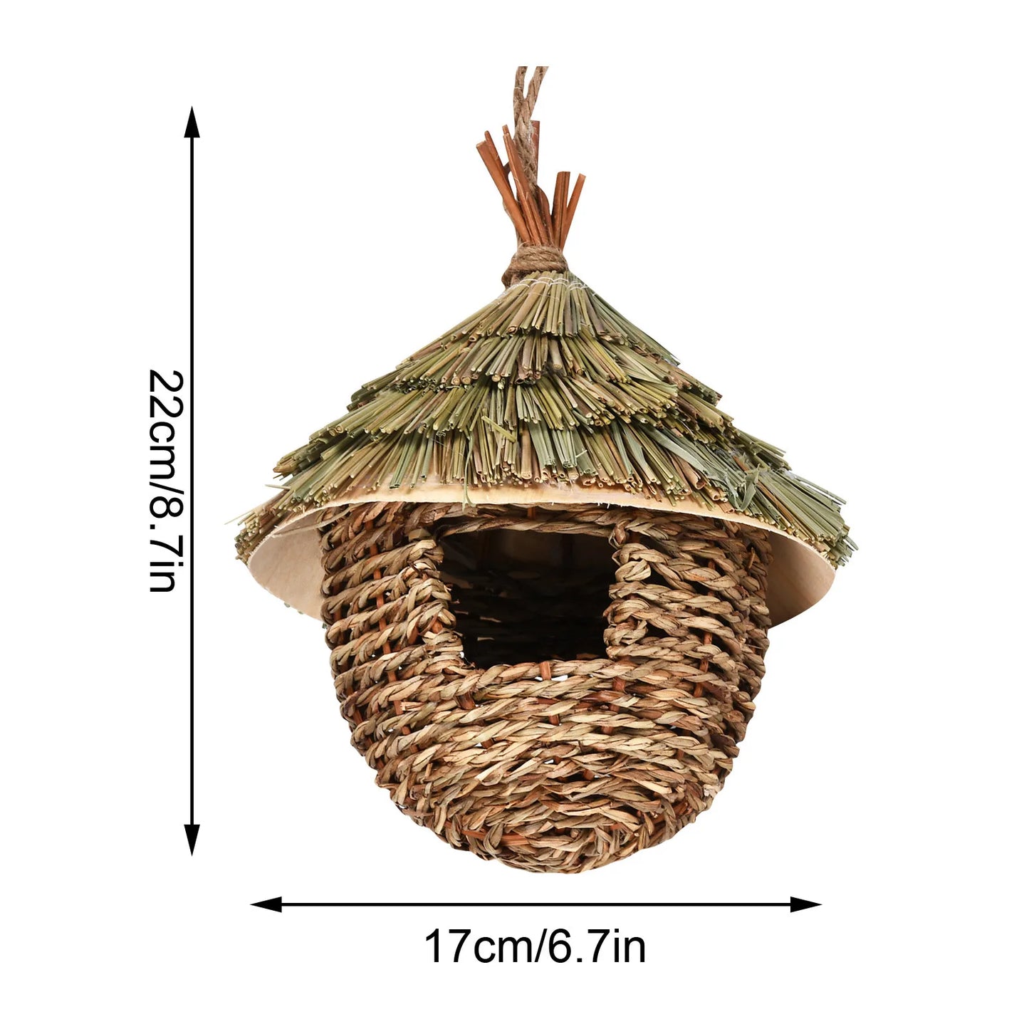 Bird House Hummingbird Nests