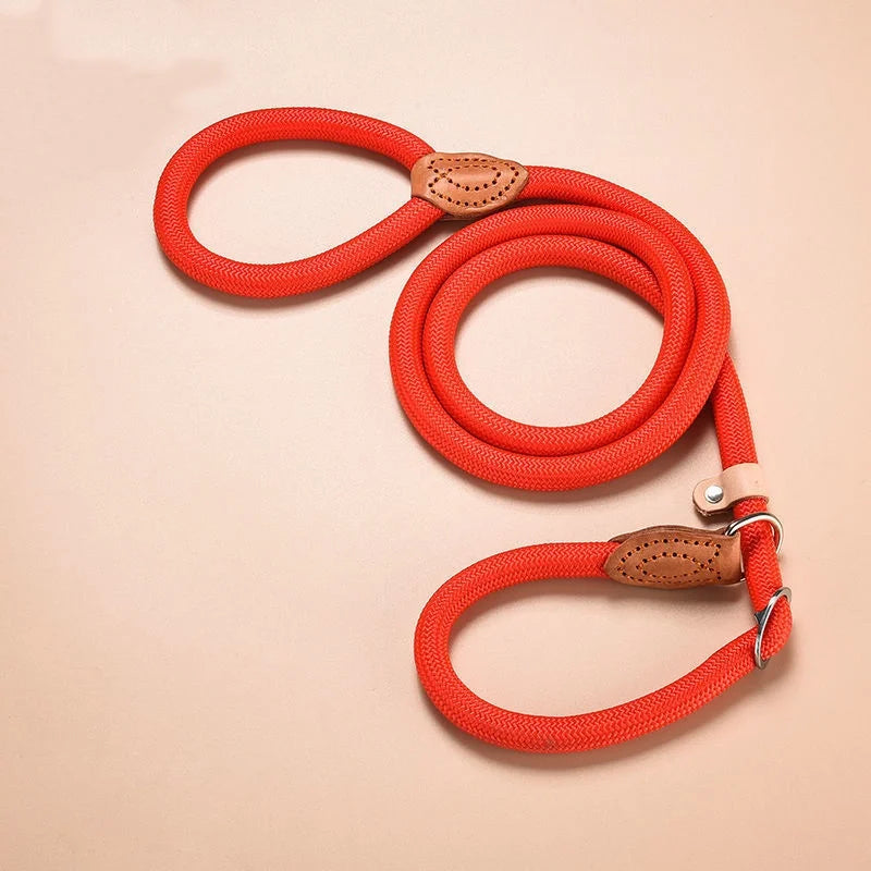 Adjustable Collar Harness Dog Leash